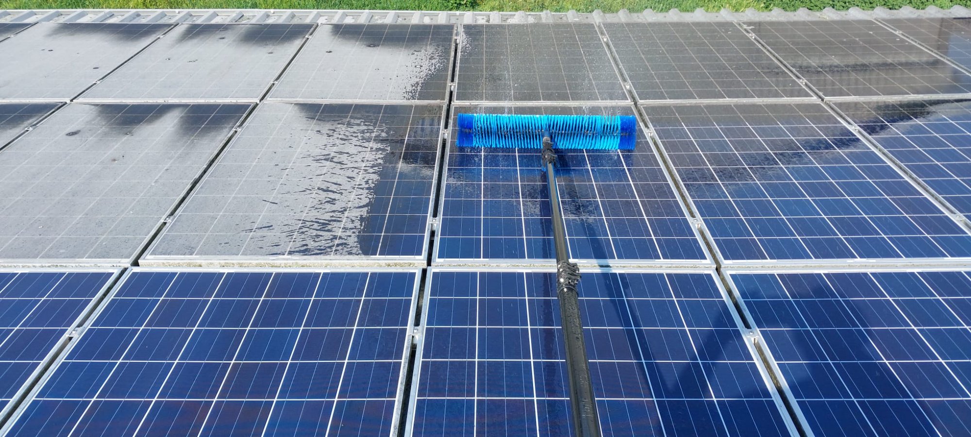 Szczotka Solar Cleano w akcji